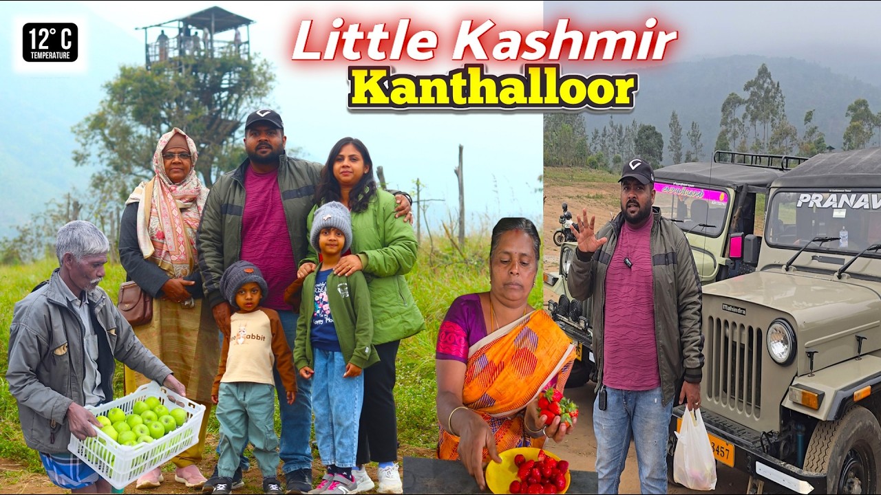 🔥குட்டி காஷ்மீர் காந்தளூர்_🍎பழங்களுக்கு பஞ்சமில்லை🍓Heaven of Fruits | #kanthalloor  Tourist Spots