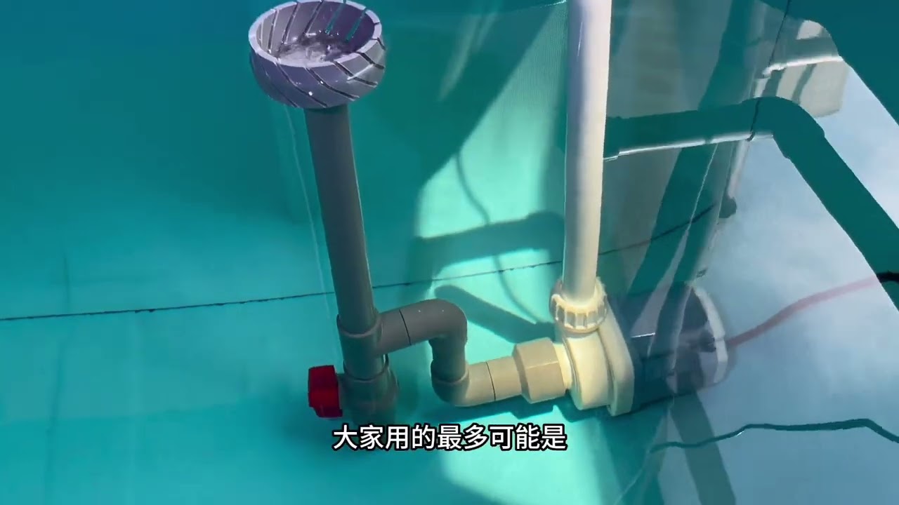 养鱼的最终归宿果然是帆布池#兰寿 #金鱼 #新手养鱼 #帆布池 1