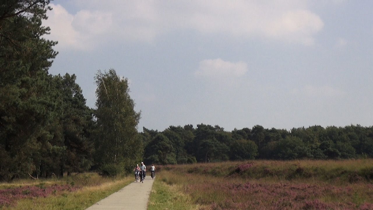 LANDCLUB RUINEN (EUROPARCS) EN NATIONAAL PARK DWINGELDERVELD