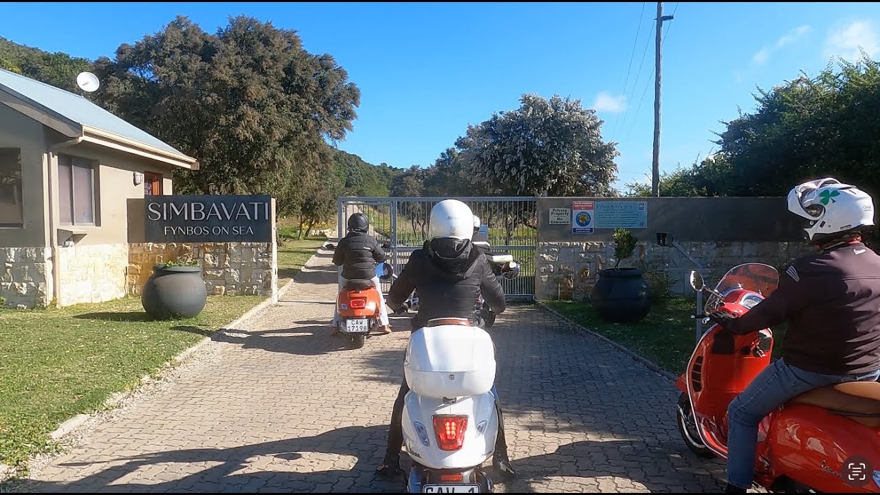 29 Jun 2025 - Fynbos at Sea (Simbavati)