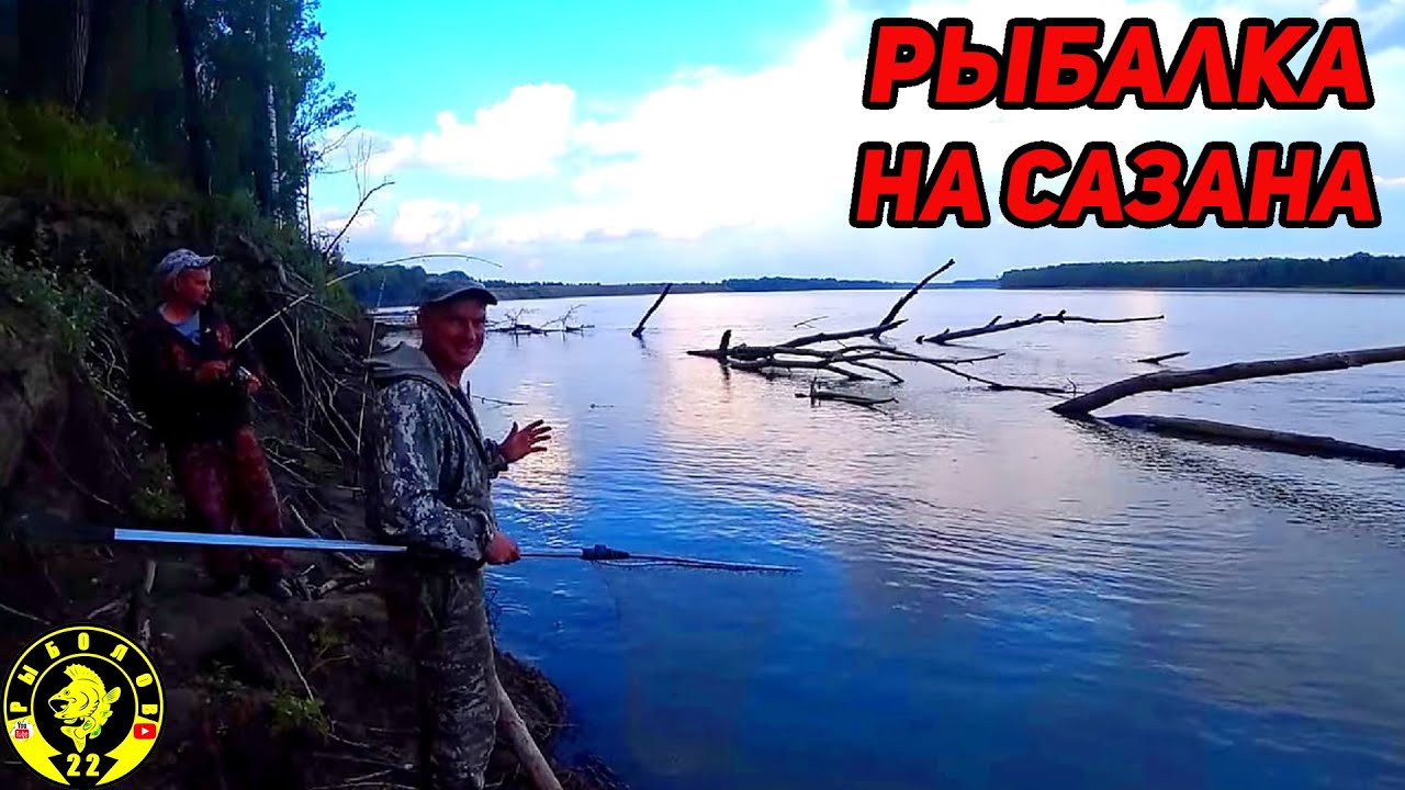 ВЫТЯГИВАЕМ САЗАНА ИЗ ПОД КОРЯГИ. Ловля сазана на Оби август 2022.