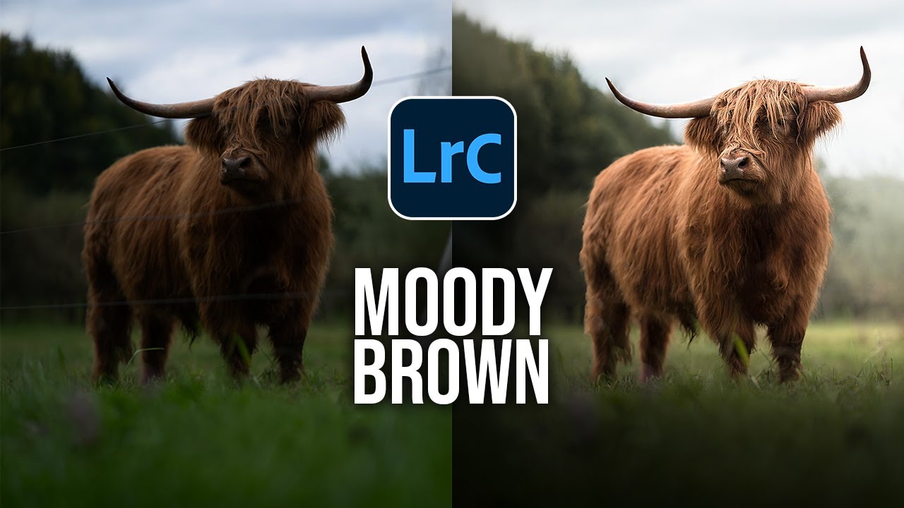 The SECRET to MOODY BROWN TONES - Lightroom Tutorial