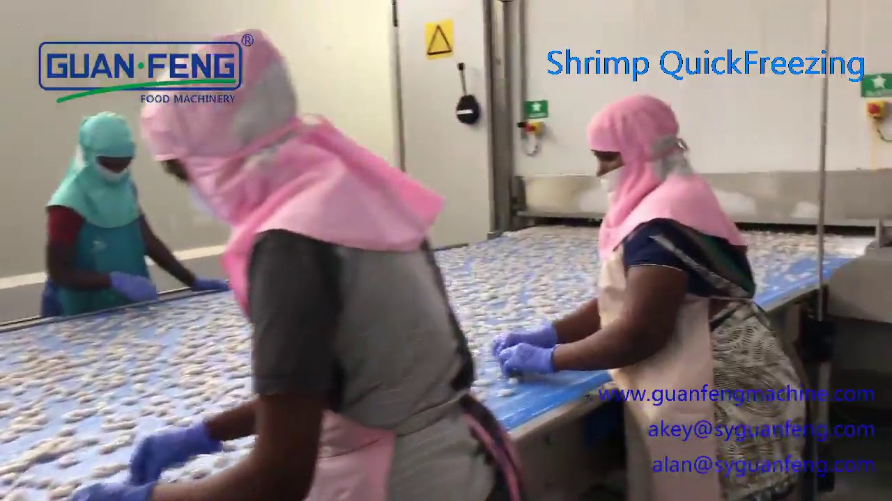 Guanfeng Shrimp Blast Freezing