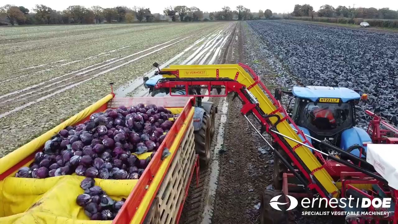 Verhoest Cabbage Harvester
