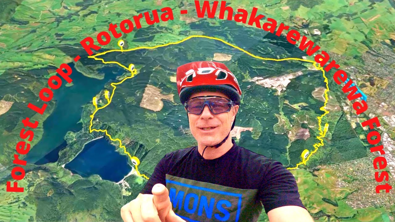 Forest Loop Rotorua - Whakawerawera / Redwoods Forest
