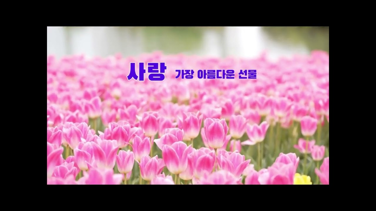 Mustardseed CCM Playlist