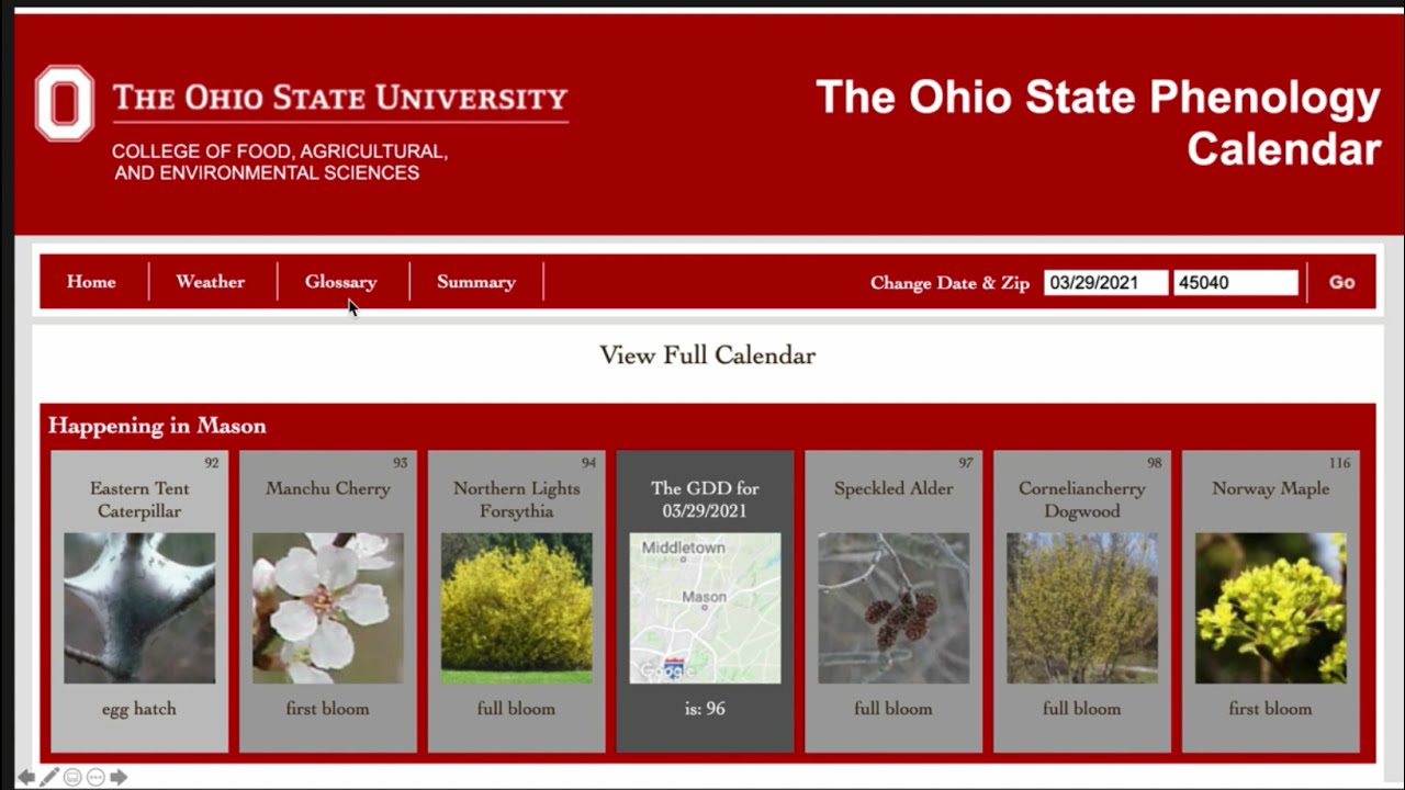 Phenology for Beekeepers 30m