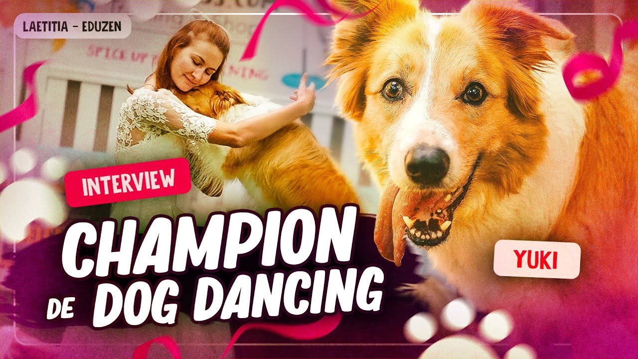 Un champion de Dog Dance (les coulisses) |&nbsp;Laetitia Gonnon - Eduzen