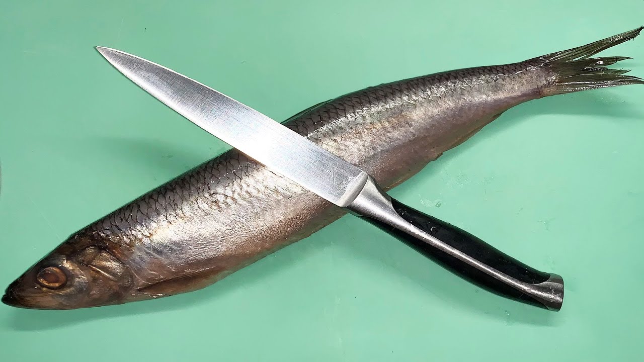 Fast, easy and mess-free! How to clean and fillet shad fish (herring)?