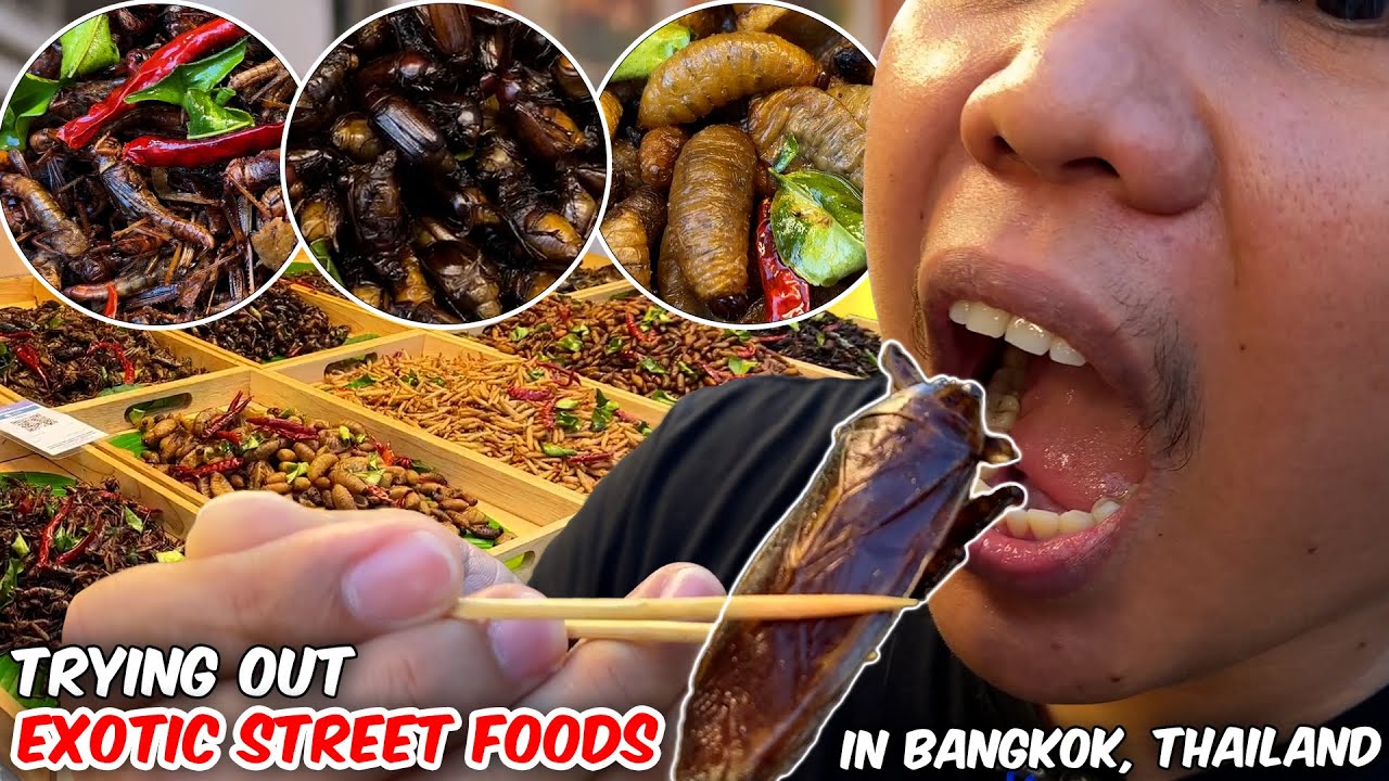 MIND BLOWING! Most Strange and Weirdest Exotic Street Food in Thailand | Your Most Requested