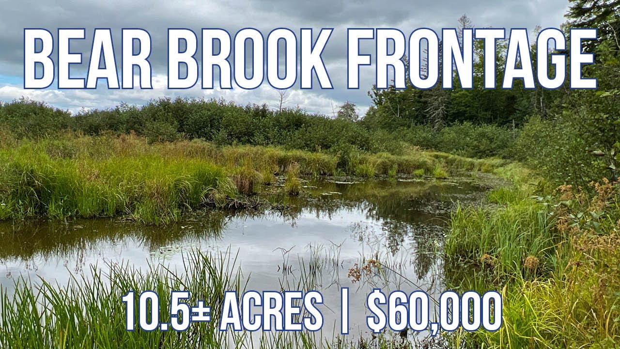 10+ Acres With Camp on Water | Maine Real Estate SOLD