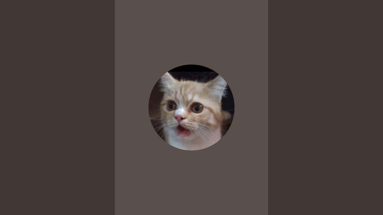 oyen chanel sedang live sekarang!