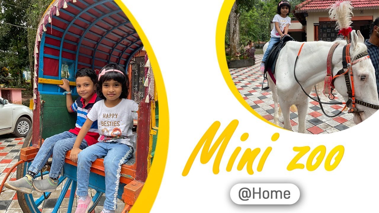 Mini zoo at home | Nandana farm | Thattayil, Adoor