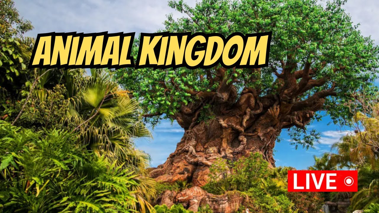 🔴 LIVE!  Seeing All the Animals at Disney's Animal Kingdom 1.9.26