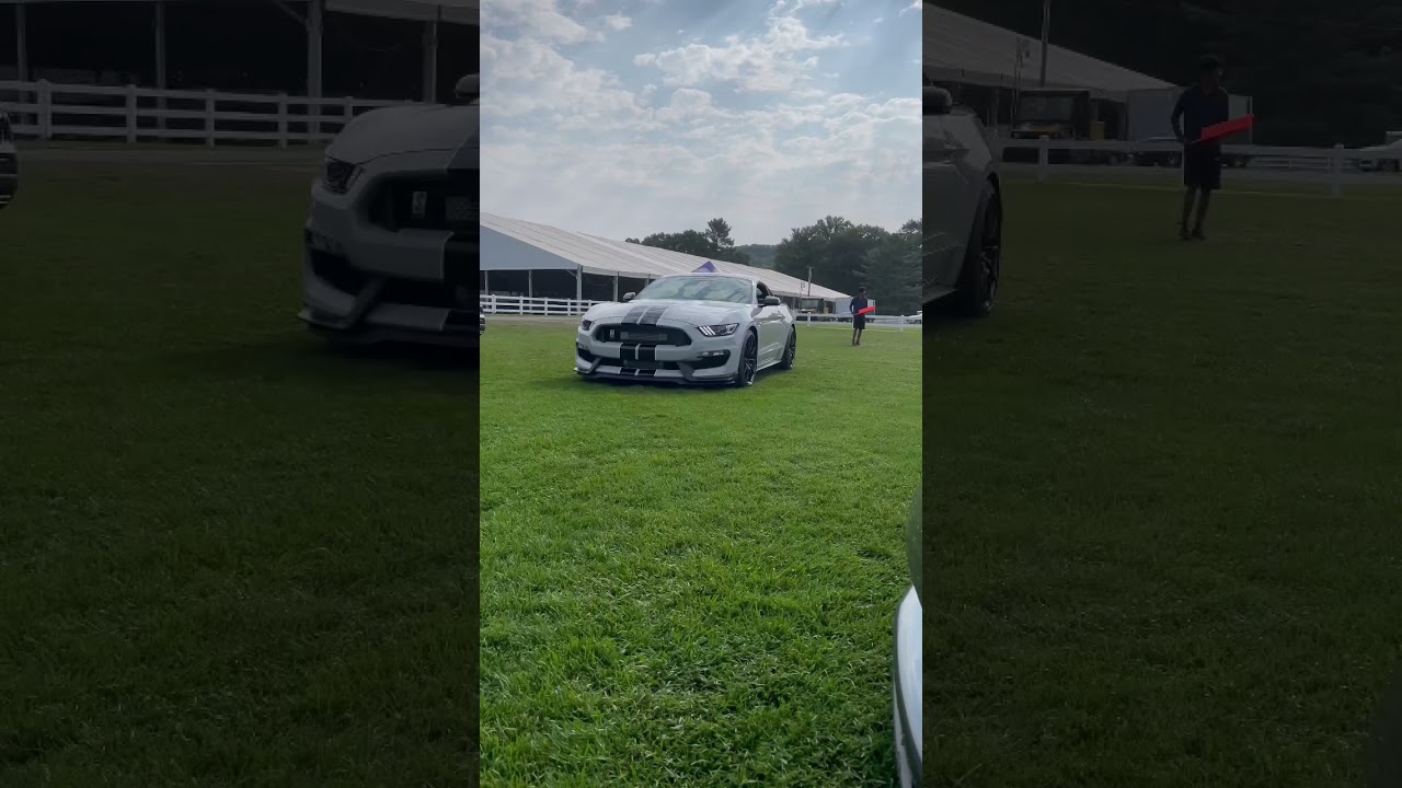 LOUD Supercharged Mustang GT350!!