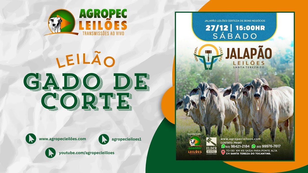 Agropecleiloes.com LEIL&Atilde;O GADO DE CORTE  | JALAP&Atilde;O LEIL&Otilde;ES - SANTA TEREZA-TO| 27/12/2025.