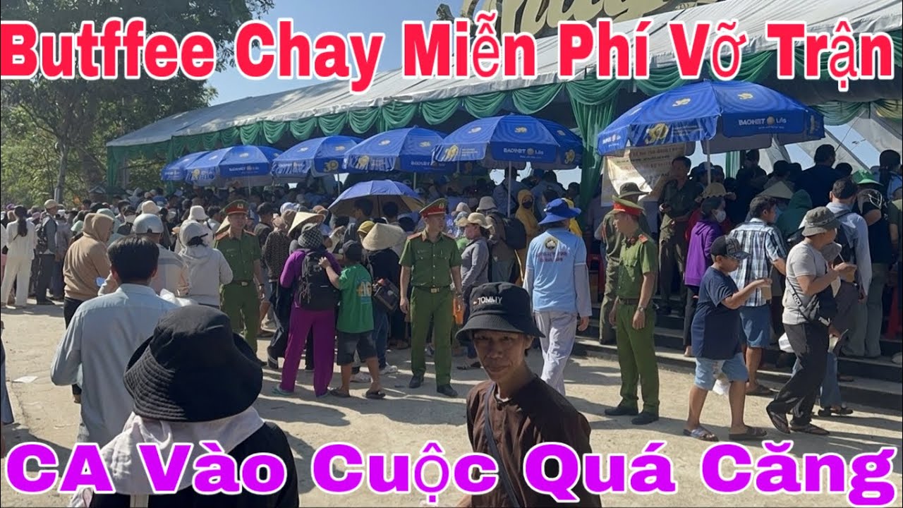 Căng! Núi Cấm Vỡ Trận Butfee Chay Căng Rồi #tintuc #yeucuocsong #thinhhanh #giadinh 