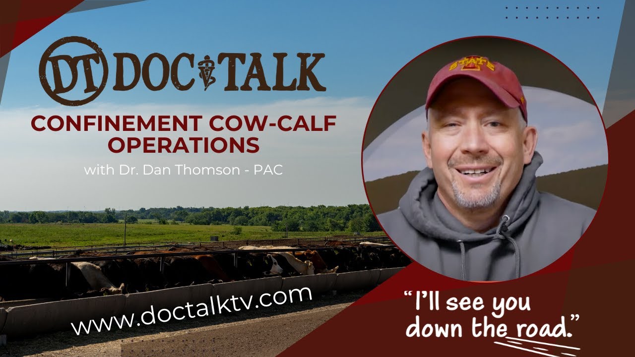 DocTalk Ep 514 - Confinement Cow Calf Operations