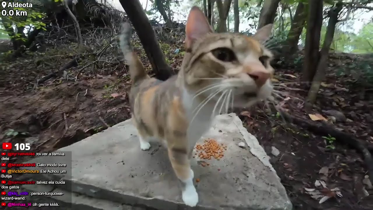 CAMINHADA EM FORTALEZA - IRL NA CHUVA