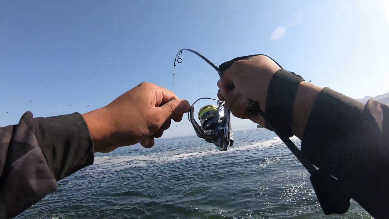 (Vlog 28) PRUEBA EQUIPO UL / ROCKFISHING [ANTOFAGASTA]