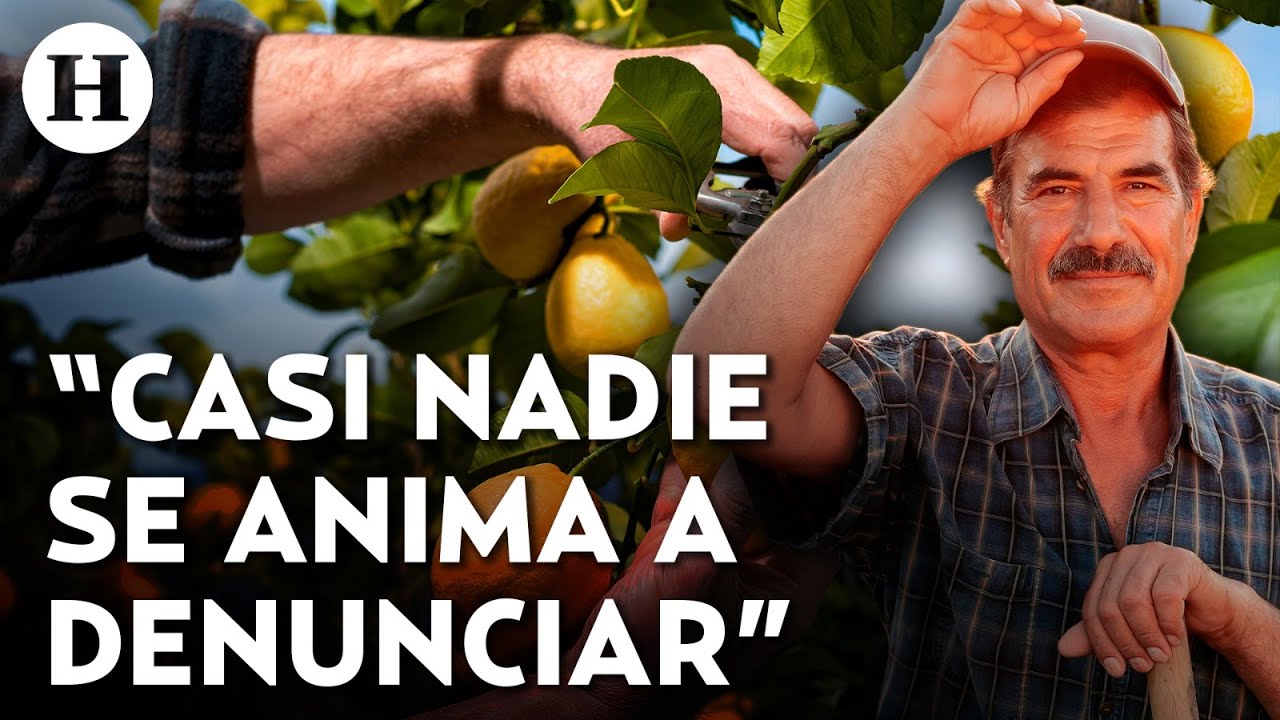 &iexcl;Extorsiones encarecen alimentos! Productores limoneros exigen una estrategia contra extorsionadores