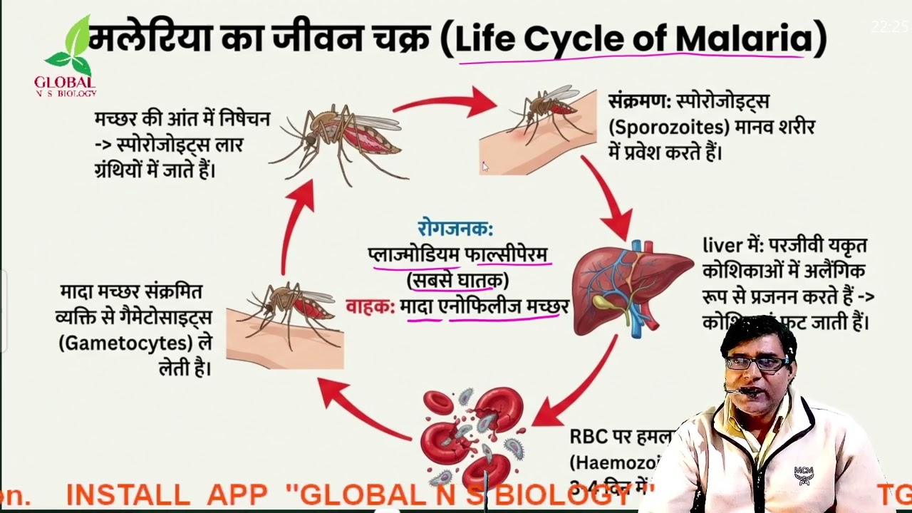 Reproductive health & Disease in One Shot 🔥 | STDs, AIDS, 🌸chapter 4 || NEET + Class 12 Biology