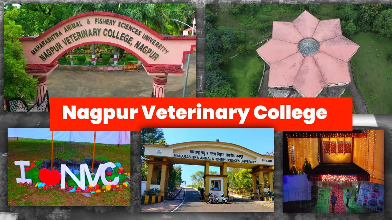 Nagpur veterinary college || NVC full campus video || maharashtra veterinary college || MAFSU #NVC