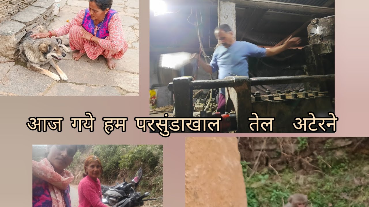 भूरी बहुत दिनो बाद मिला ओर परसुंडाखाल  खाल से आई मे आसा बैजी के साथ