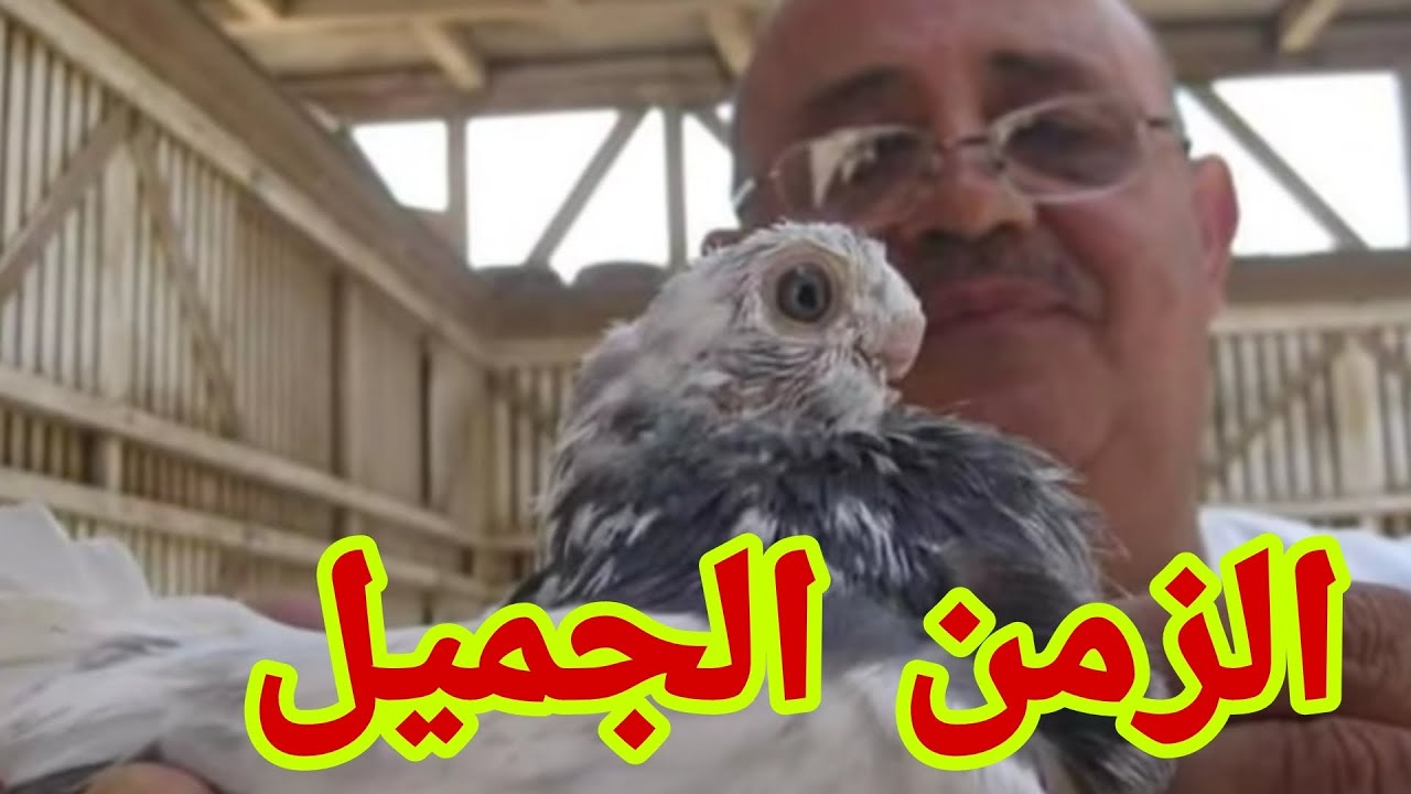 الحريف