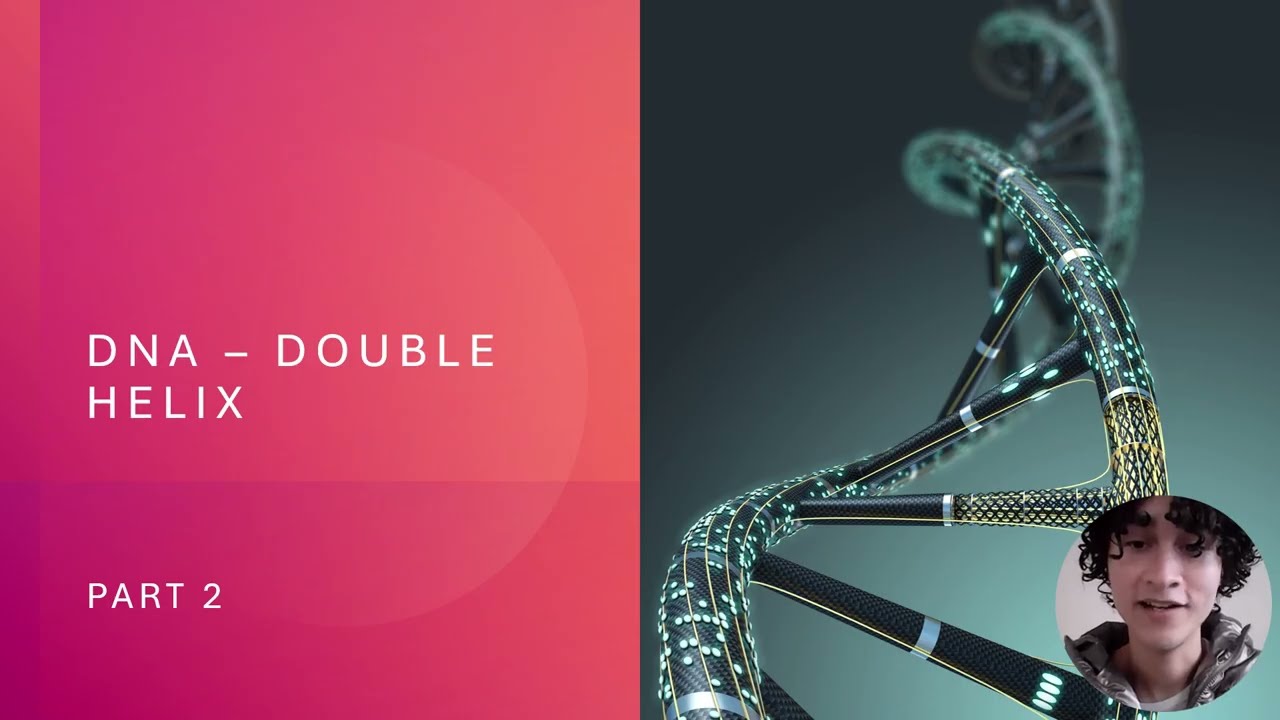DNA double-helix & DNA replication