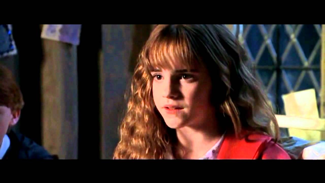 the vow (trailer) - harry & hermione style