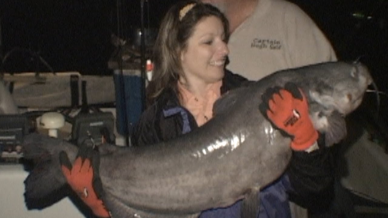 Blue Catfishing on James River, 1 Big Fish Episode 20