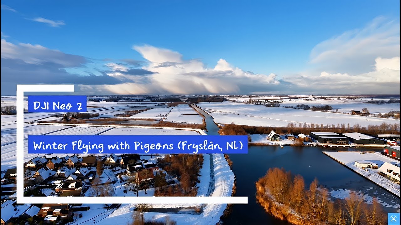 DJI Neo 2 Flying with Pigeons & lots of snow Fryslân (NL)