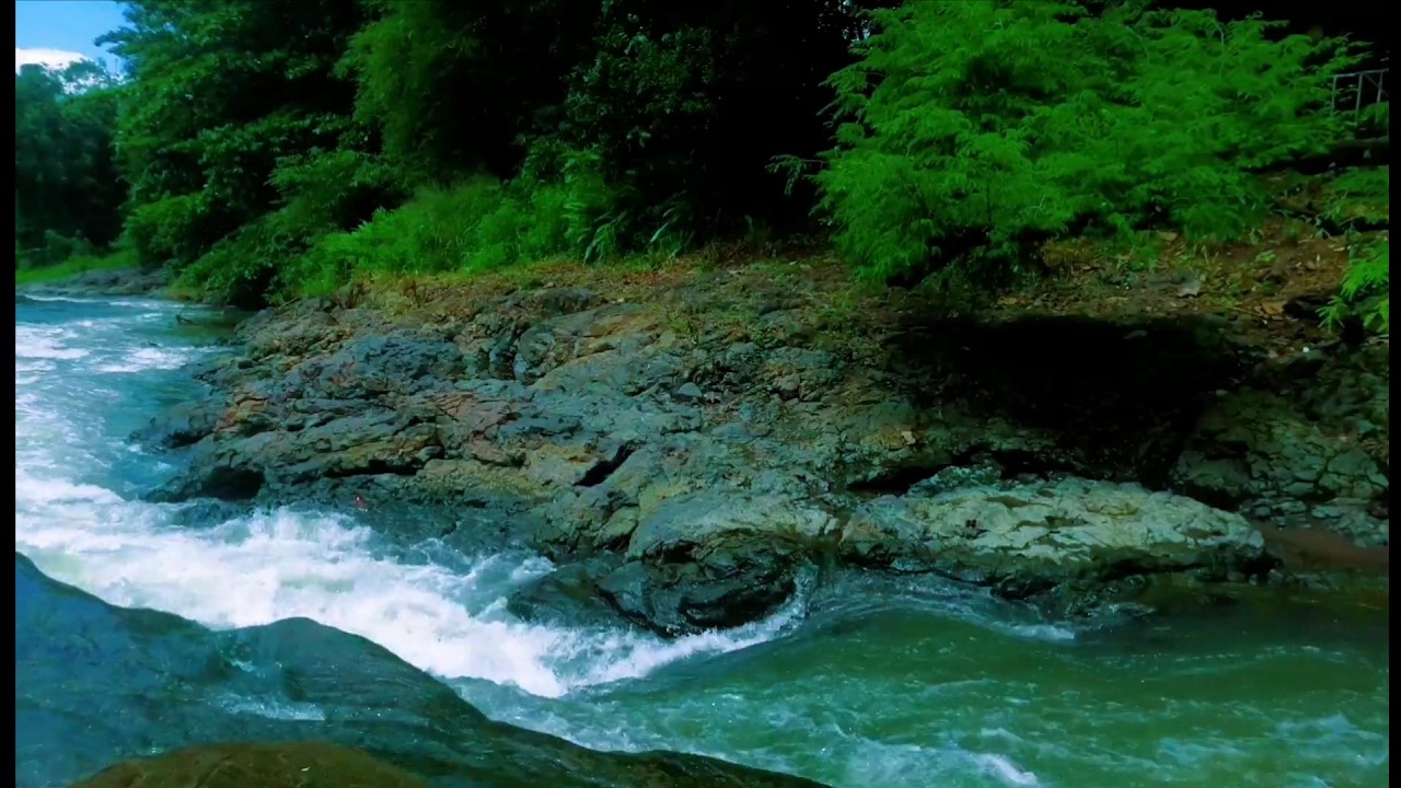 Beautiful Relaxing River  Nature Sounds Sleep Meditation Study Stress Relief Mindfulness