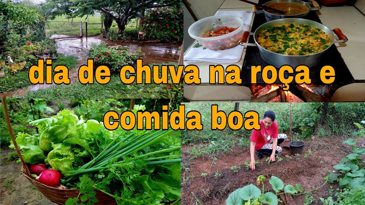 CHUVA NA ROÇA FOGÃO A LENHA ACESSO  CARDÁPIO GALINHADA COM TUTU