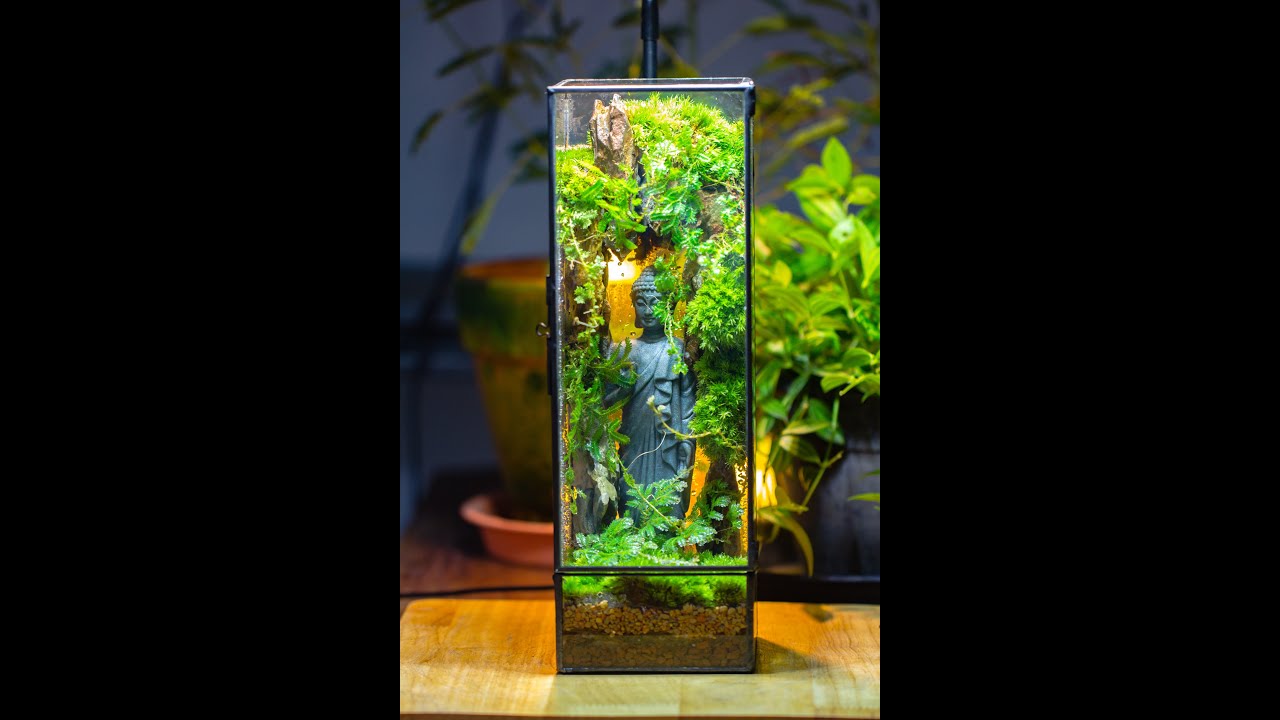 Easy moss terrarium diy tutorial: Buddha status in rock wall microlandscape