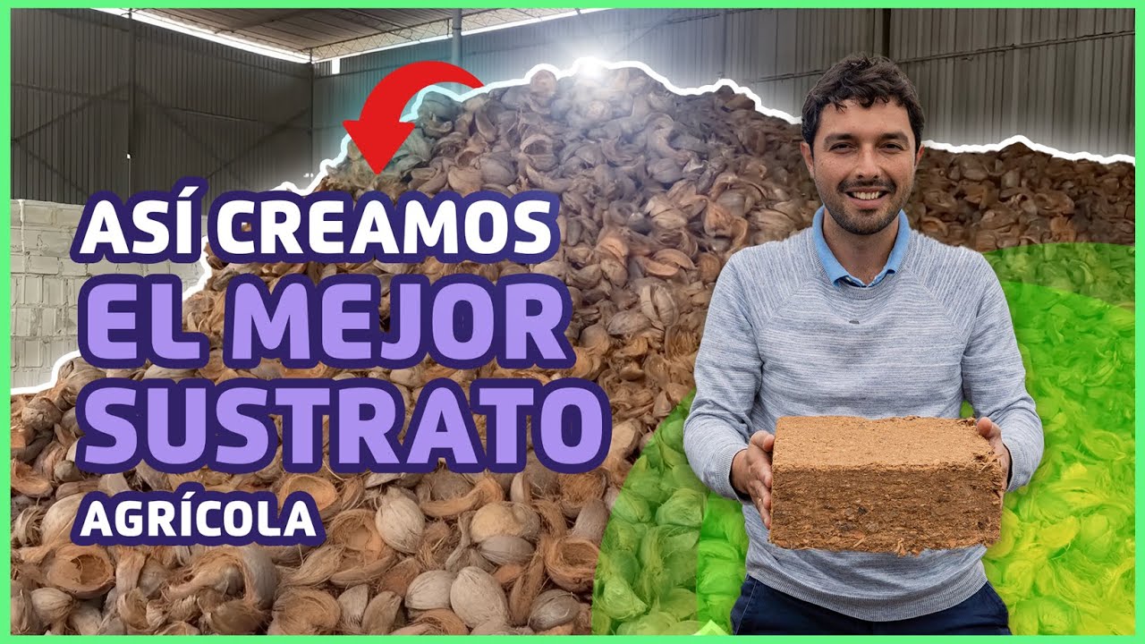 Transformando Cáscaras de Coco en Sustrato Premium para Agricultura