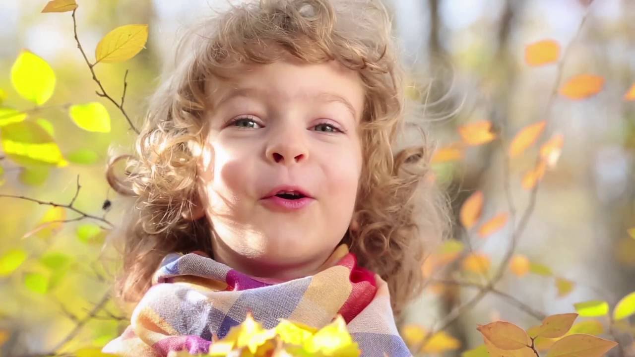 NIKKEN: La Naturaleza Contigo