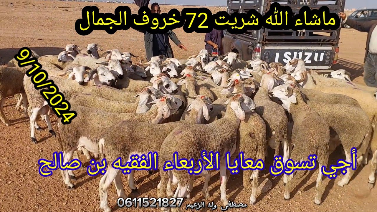 الله الله ماشاء الله أجيو تسوقو معايا سوق الأربعاء الفقيه بن صالح بتاريخ 9/10/2024 #شريت 72 خروف