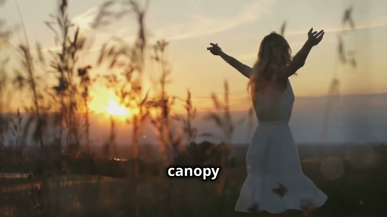 Defy Gravity:  A Journey to the Stars 