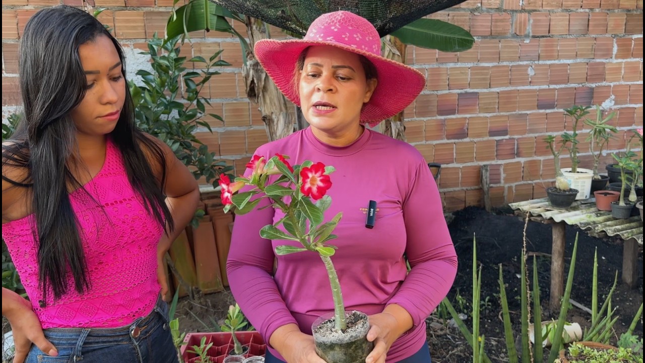 A VERDADE QUE NINGUÉM MOSTRA SOBRE SUAS ROSAS DO DESERTO