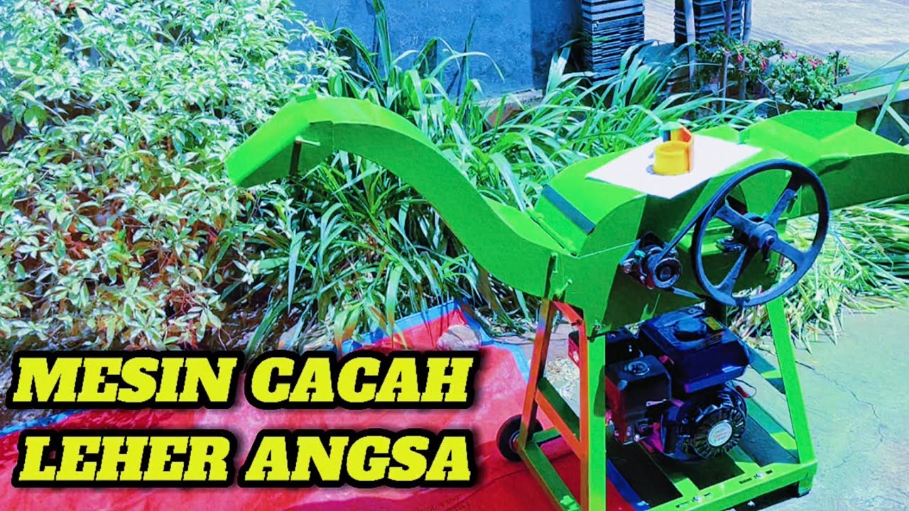 MESIN CACAH RUMPUT YM3000 LEHER ANGSA