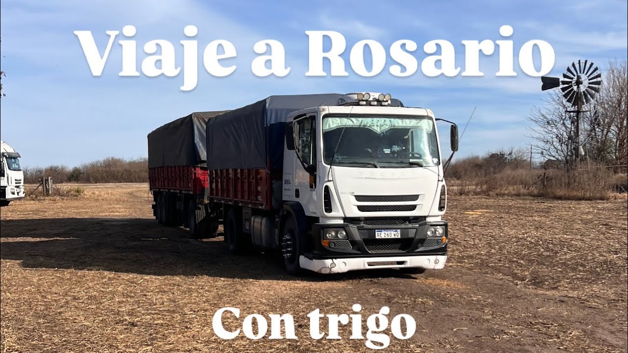 Viajecito a Rosario con trigo
