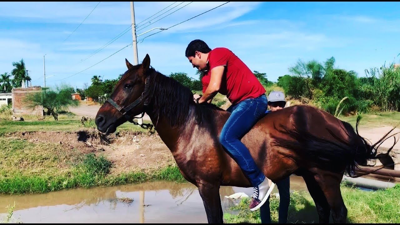 UN DIA EN EL RANCHO (BROMA Y DIVERSION) VITOLIAS Y EL CHIQUETE