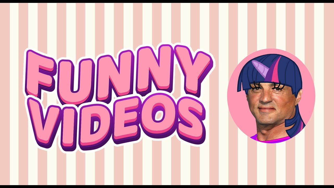 30 Minutes for Laughs! 😉 Best Random Humor Videos with Jokes, Pranks, Fails and Funny Animals