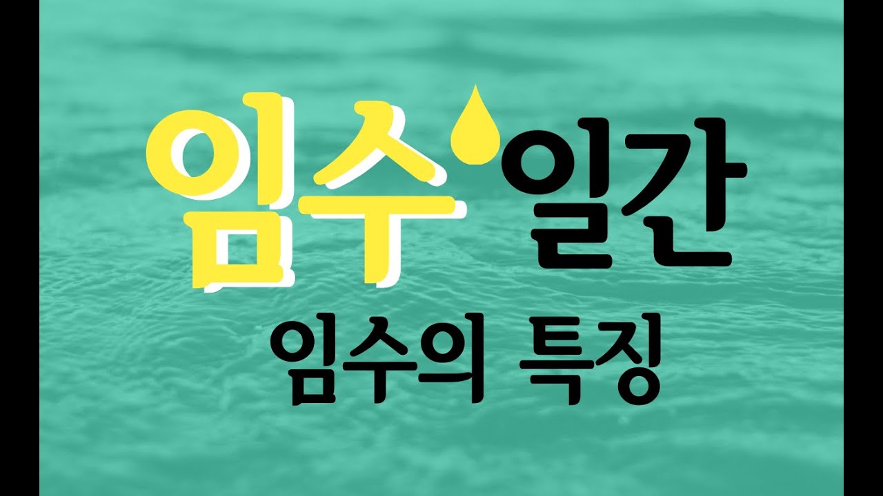 임수일간/임수의 특징