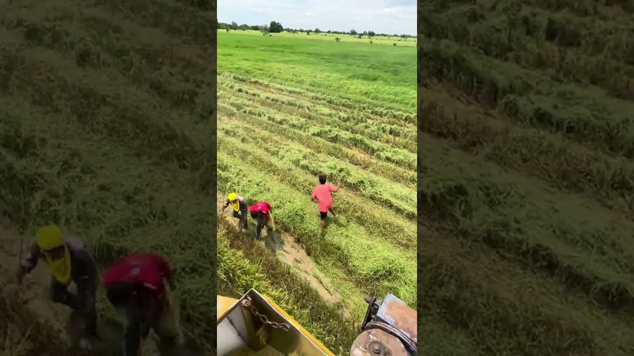 Cambodia tractor 🚜🚜 