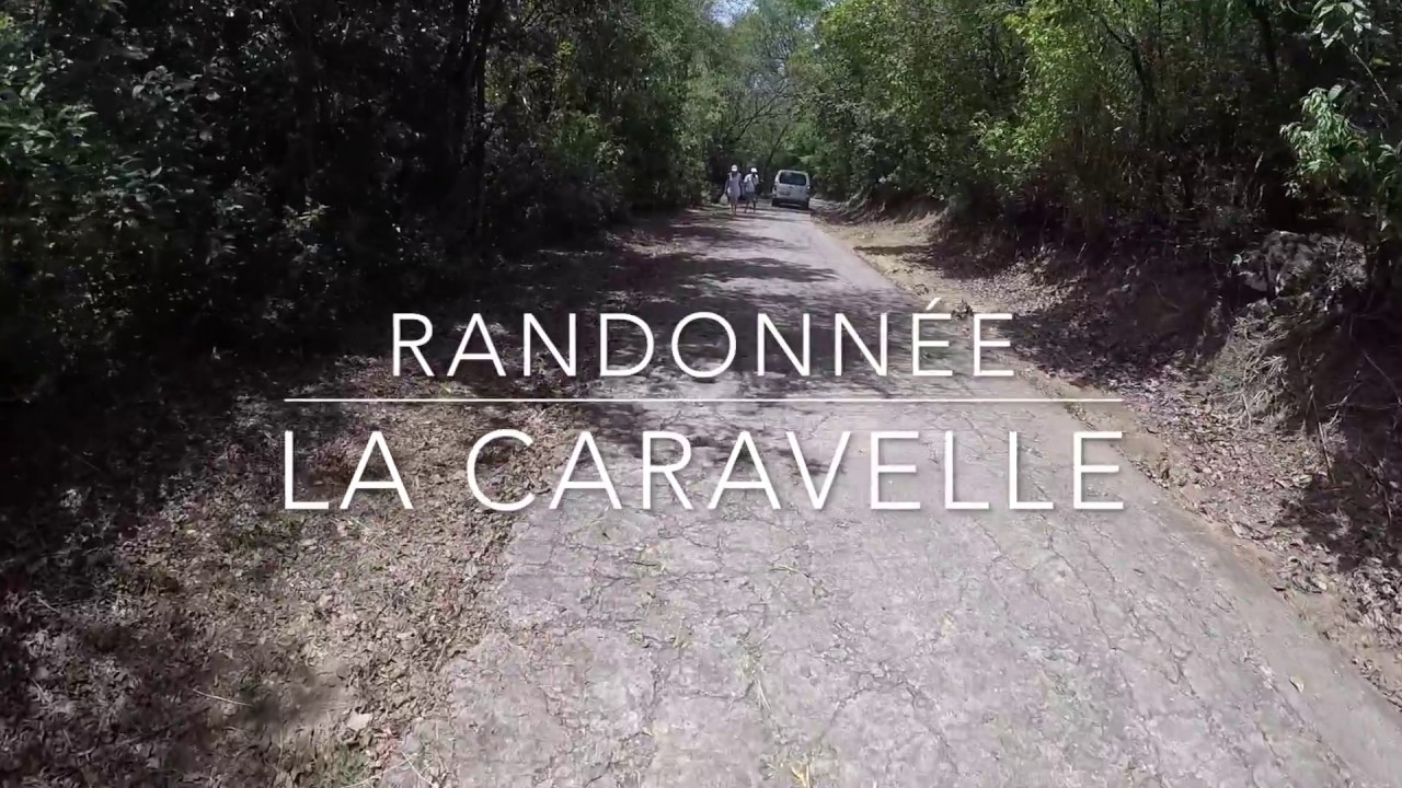 Randonnee La Caravelle - Martinique