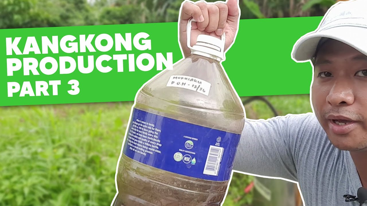 Kangkong Production Series [Part 3]: Spraying Application | The Agrillenial