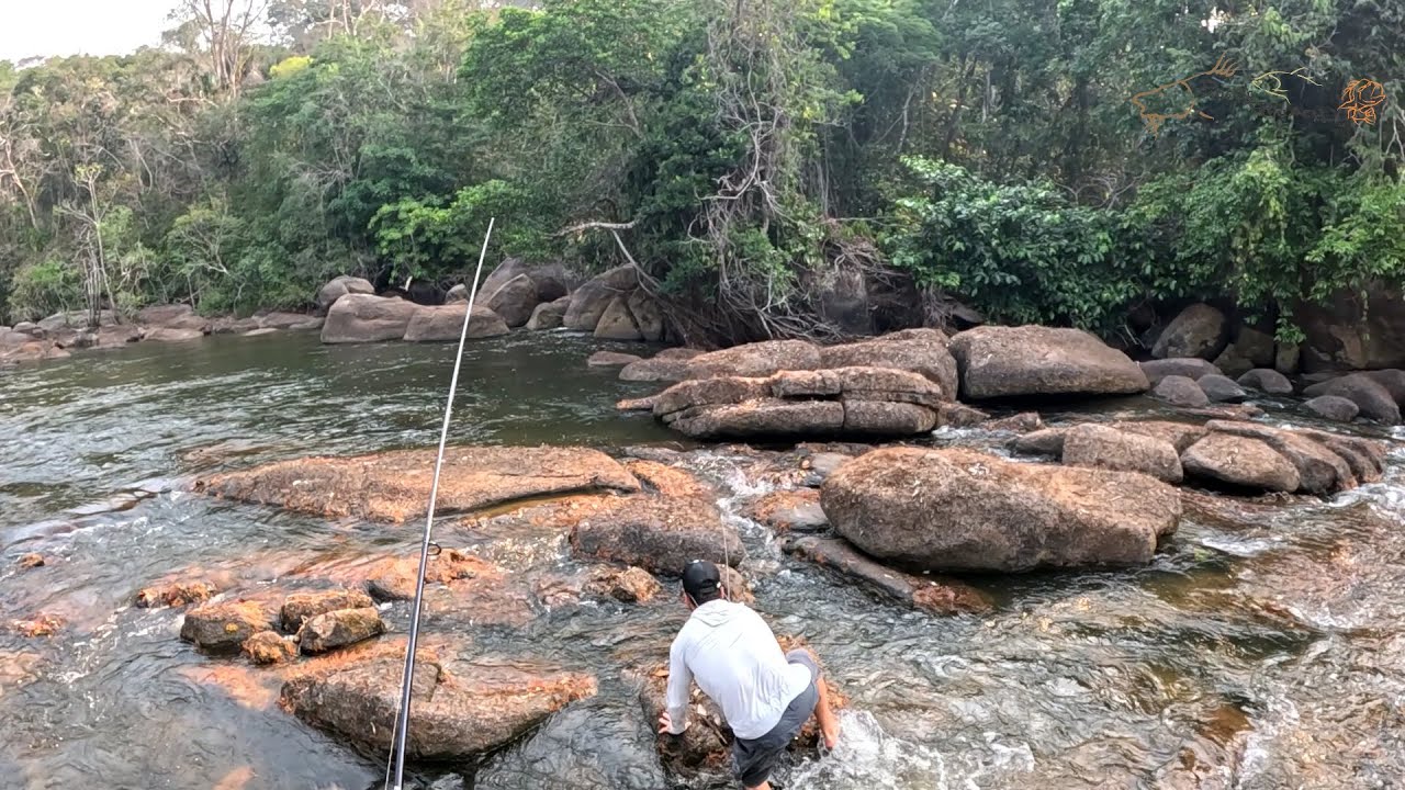 O pior aconteceu, piranhas pegaram ele e não teve jeito...